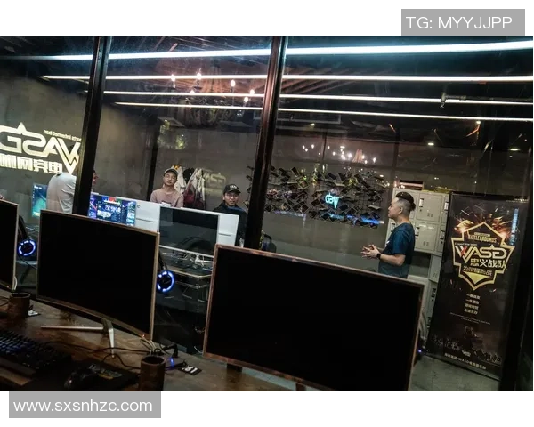 电竞新视野：为老年人打开理解电竞文化的大门